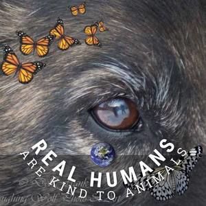 Meet your Posher, Deb